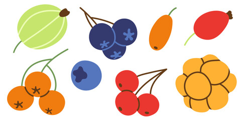 Berries set isolated on white. Colorful hand drawn decorative elements. Autumn berries in simple flat style. Vector illustration.