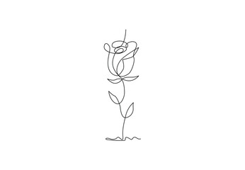 Continuous one line drawing of Rose flower , outline illustration Rose day, valentine day concept Pro Vector single line art
