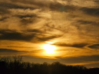 sunset over the field