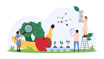 Group of scientists analyzing genetic makeup of fruits and plants using various scientific tools and charts. Magnifying glass and DNA strands in focus vector illustration.