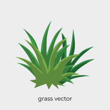 grasss illustration in flat style single vector.eps