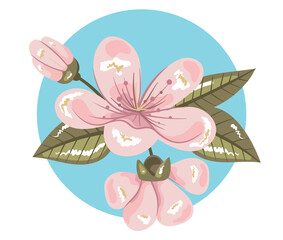 Flower spring pink sakura cherry blossom isolated set. Vector cartoon graphic design element illustration