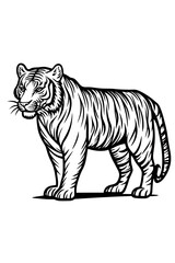 Animal Coloring Book 