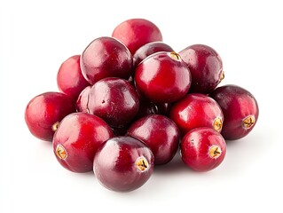 Obraz premium bunches of Cranberry isolated on a white background