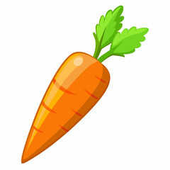 clip art realistic carrots vector illustration