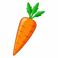 clip art realistic carrots vector illustration