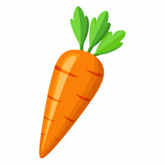 clip art realistic carrots vector illustration