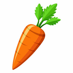 clip art realistic carrots vector illustration