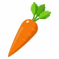 clip art realistic carrots vector illustration