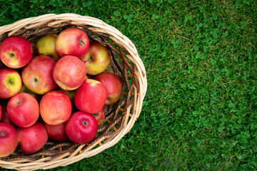 apples in a basket