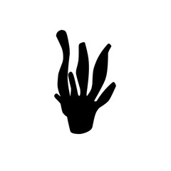 seaweed silhouette icon