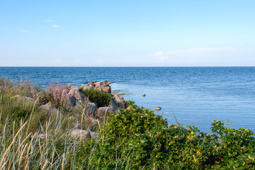 A pink granite seashore jutting out into the water, covered with wild coastal vegetation of various colours. In the background are the blue sea and sky with single white clouds and haze on the horizon