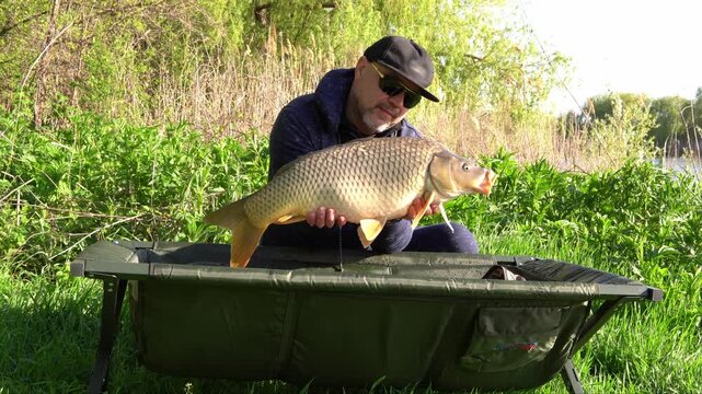 Carp fishing. Man holding big fish in his hands above unhooking mat. Fisherman with his trophy. Angler on the river bank on green background