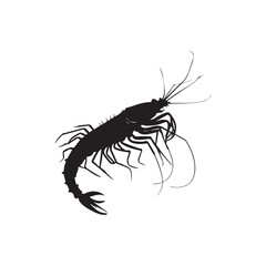 shrimp vector design