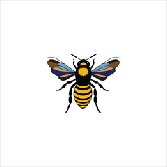 Fototapeta premium bee illustration
