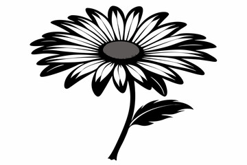 Daisy black and white flower silhouette on white background, Vector illustration, bird, icon, svg, characters, Holiday t shirt, Hand drawn trendy Vector illustration, Rose flower