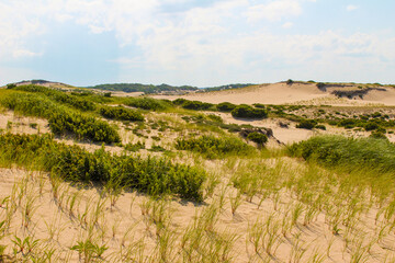 Sand dunes on sunny day in Cape Cod
