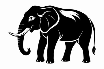 elephant black  silhouette illustration