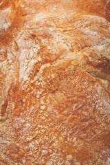 ciabatta , Italian bread, top view, close-up, full frame,