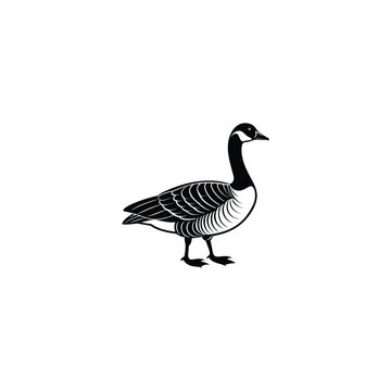 recommend clip art: Goose or duck vector silhouette 