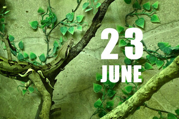 Calendar date on light green background with snake crawling on tree branch. June 23 is the twenty-third day of the month