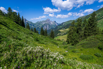 Obraz premium Rothorn Peak as seen from the Hochtannberg, State of Vorarlberg, Austria