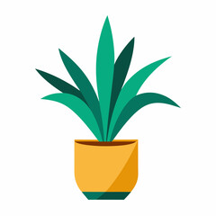 Dracaena on a vase vector illustration 