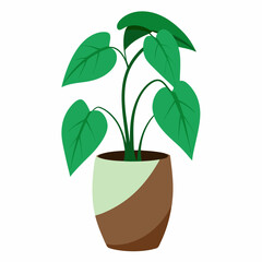 Pothos on a vase vector illustration