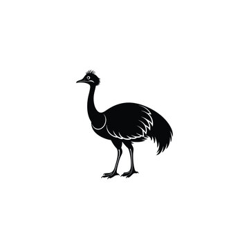 recommend clip art: Cassowary bird vector icons and silhouettes