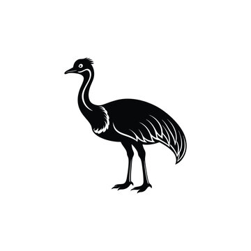 recommend clip art: Cassowary bird vector icons and silhouettes