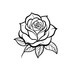 Black rose isolated on a white background.vector illustration icon design. 