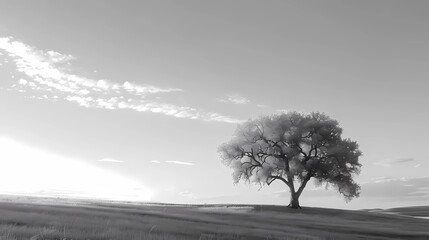Obraz premium black and white landscape with tree 