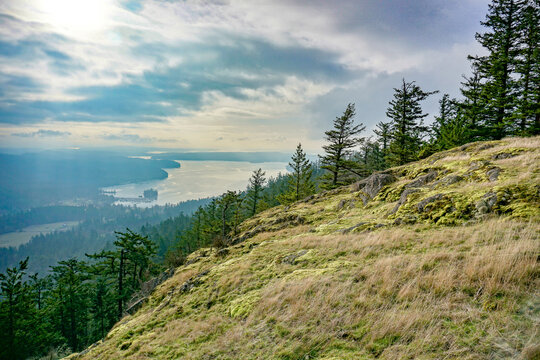 Tranquil scenes from Turtleback Mountain trail, Orcas Island, San Juans, Washington State, Salish Sea