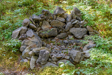 A small fire pit in a forest. It has not been used in a long time as there is no charred wood in it, it has all weathered away.