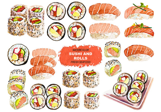 Vector watercolor painted sushi and rolls Hand drawn fresh seafood design elements isolated on white background
