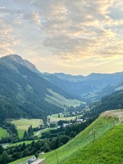 landscape in the summer