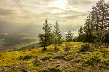 Tranquil scenes from Turtleback Mountain trail, Orcas Island, San Juans, Washington State, Salish Sea