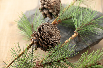 Fototapeta premium Artificial pine cones with branch. Image of evergreen pine cones.