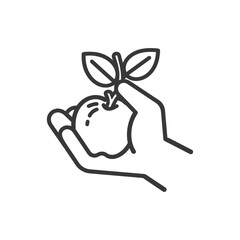 Hand Holding a Single Apple with a Stem and Leaves