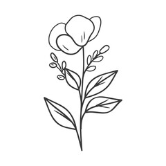 Hand Drawn Outline of a Single Flower with Leaves and Buds