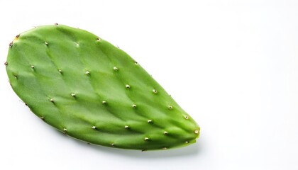 Nopal - prickly pear cactus is a plant of the Opuntia ficus indica - has a texture like okra and a taste like green beans, with a slight tart flavor. common in Latin cuisine.  Isolated on white