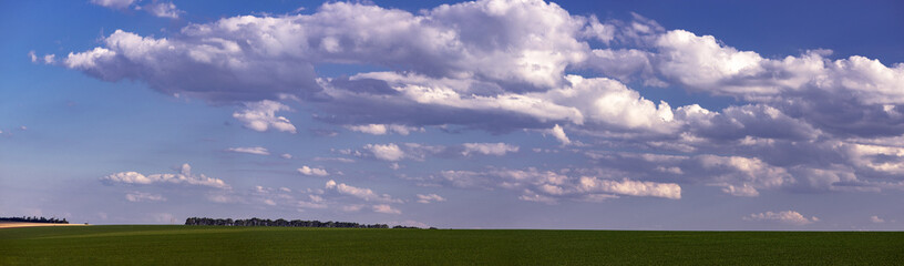 Fototapeta premium Vast horizon. Field and blue sky. Field novel. Summer panorama of the black soil part of Ukraine.A sultry afternoon in the vast expanses.Field landscape. 