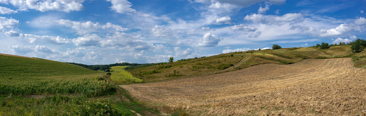 Steep terrain. Field landscape. Path along the fields. Blue horizon fills the sky. Bright summer day.