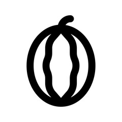 watermelon line icon