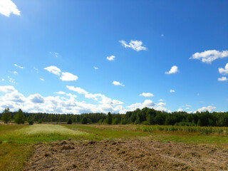 Obraz premium Expansive Blue Sky With Fluffy Clouds Over Lush Forest and Open Field