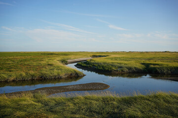 A picturesque view of the salt marshes in Sankt Peter-Ording at sunset, showcasing the beautiful...