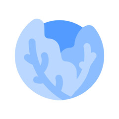 cabbage duotone icon