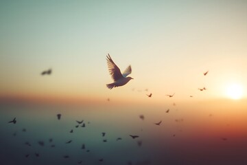 Fototapeta premium A silhouetted bird gracefully soars against a pastel sunset backdrop.