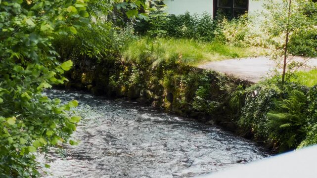 Staufen im Breisgau, Germany, 2024