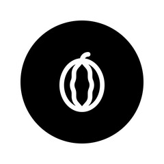 watermelon line circular icon